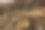 一大堆原木准备用船装运。图片下载