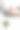 时尚的办公室白色内部装饰与小型绿色植物图片下载