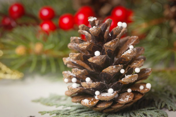 喜庆自然，零浪费，无塑料，圣诞装饰。用冷杉树枝、松果和红浆果DIY寒假家居装饰。图片下载