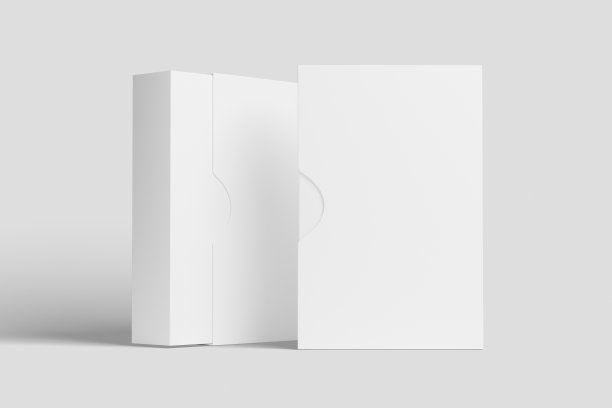 软件盒与Slip Case白空白3D渲染模型图片下载