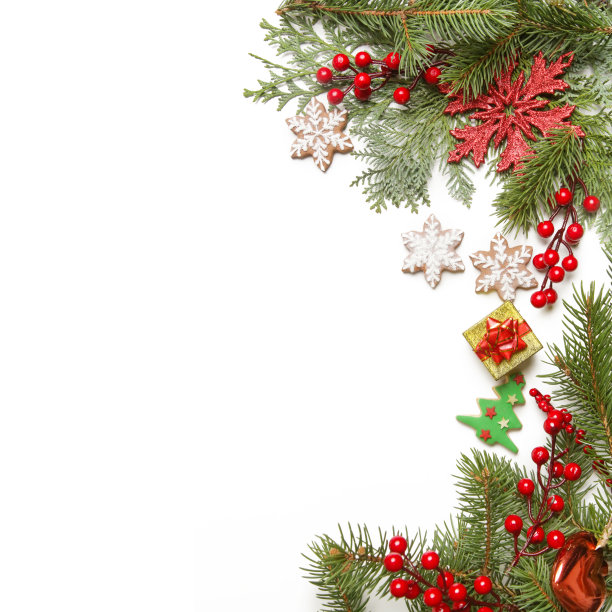 圣诞装饰。圣诞树的树枝，红色的浆果和雪花形状的饼干在白色的背景。图片下载
