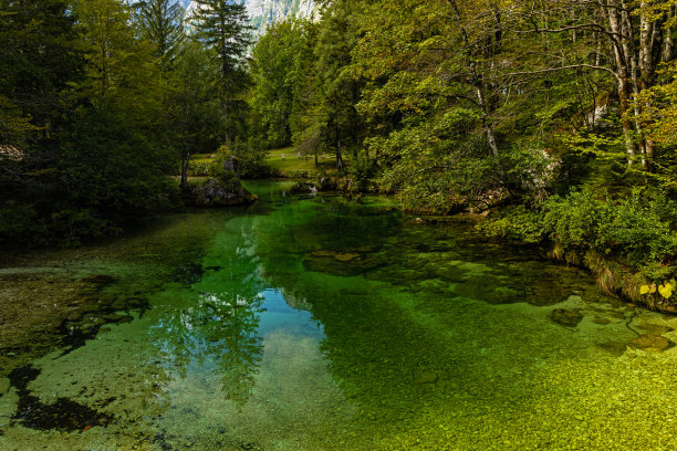 斯洛文尼亚Sava Bohinjka河周围宁静的风景图片下载
