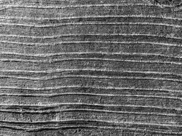 农田背景下农村汽车轨道的鸟瞰图图片下载