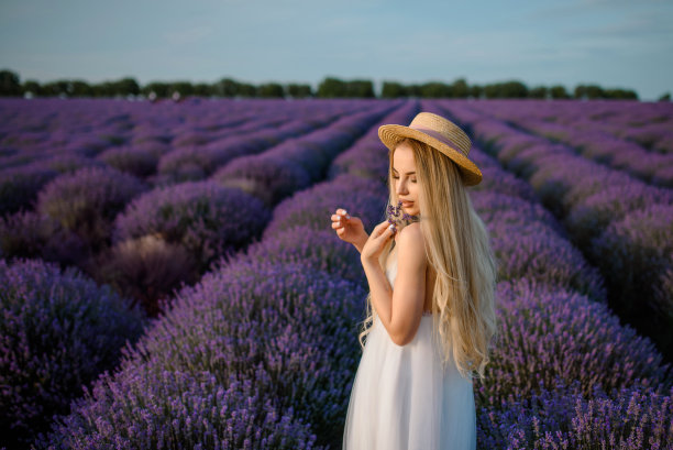 年轻漂亮的女人穿着白裙子，戴着帽子，走在薰衣草田里。图片下载