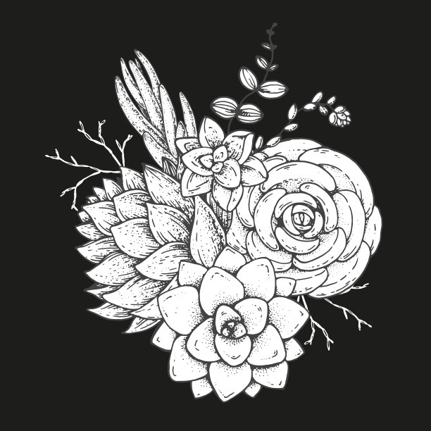 多汁的素描作品。手绘矢量插图。植物的草图。纹身的打印。用于t恤印花，织物，贺卡，婚礼邀请和其他用途的插图。图片下载