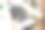 特写图片的妇女手拿黑色的笔记本模型。女孩拿着一个黑色空白记事本和小仙人掌在桌子上。模拟空白复制空间记事本图片下载