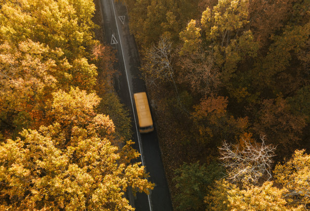 鸟瞰在美丽的秋天森林里有校车的道路图片下载