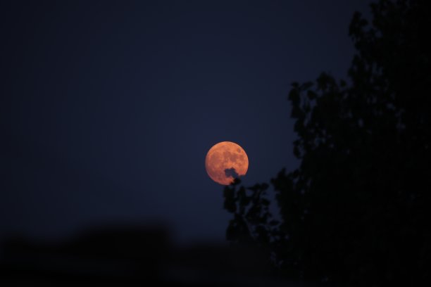 初升的月亮图片下载