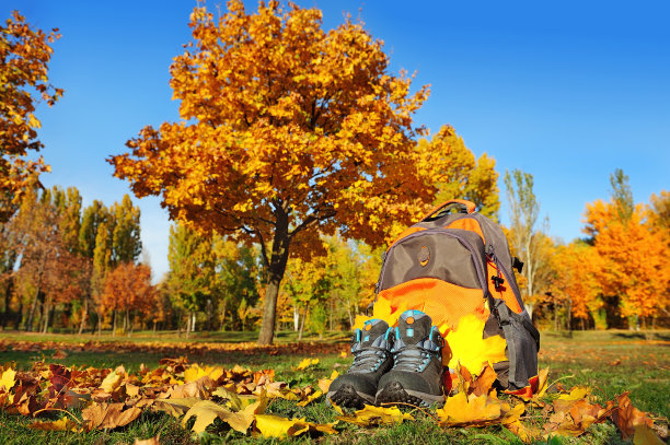 特写照片的登山靴和背包在秋天的背景图片下载