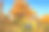 特写照片的登山靴和背包在秋天的背景图片下载