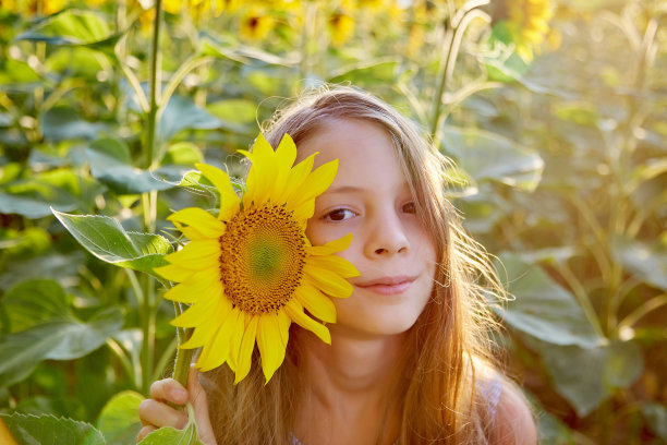 向日葵的女孩图片下载