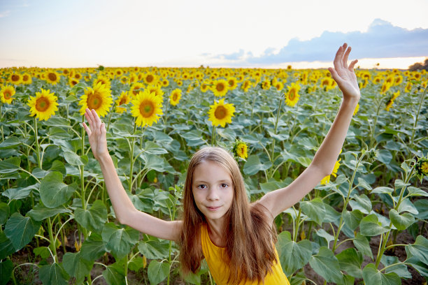 向日葵的女孩图片下载