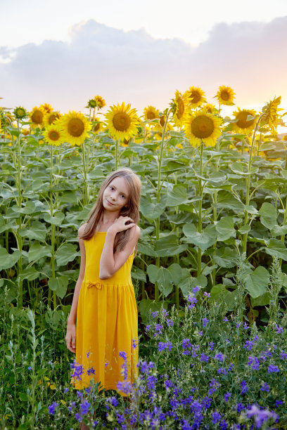 向日葵的女孩图片下载