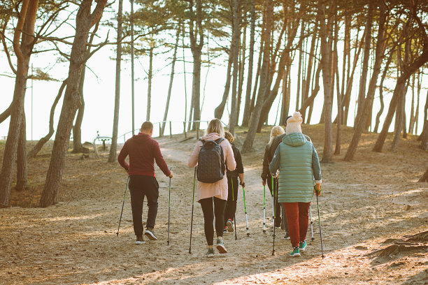 后视图的人组露营者与背包做北欧步行与专业的棍子在森林，林地图片下载