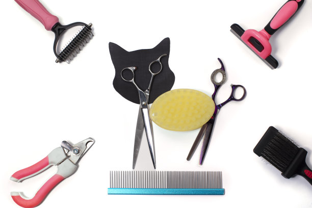 一套不同的梳子和刷子梳理宠物在白色背景与阴影反射。用梳妆工具制作的创意猫雕像。图片下载