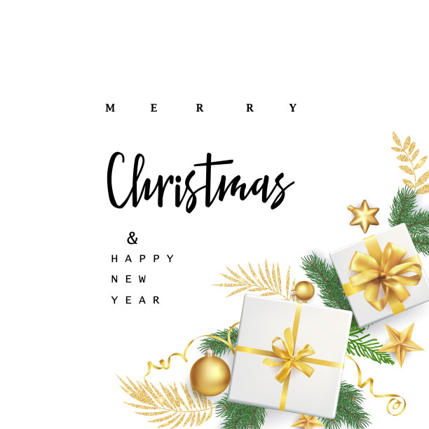 节日圣诞背景与树枝和球图片下载