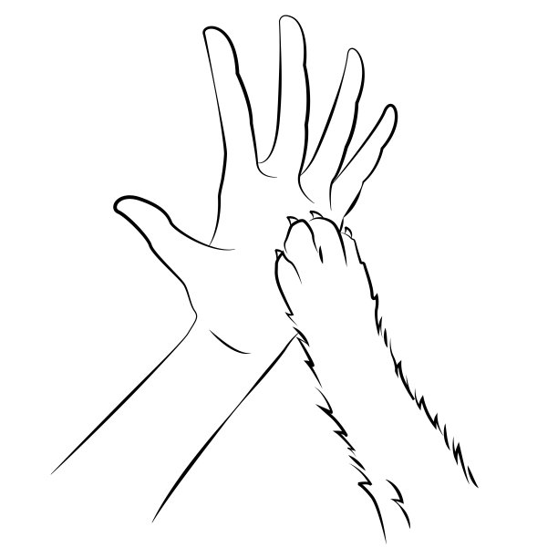 人的手和狗的爪子。友谊图片下载