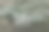 水的波浪——绿色海水上的气泡和波浪图片下载