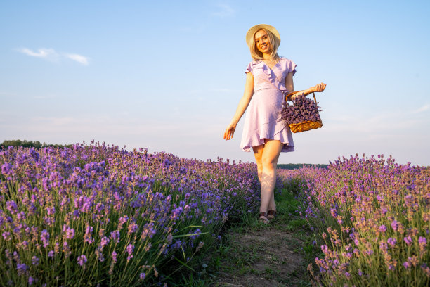 时尚美丽的年轻女子戴着帽子，穿着淡紫色的连衣裙，手持木篮子与鲜花在薰衣草田。美和幸福的概念。配色趋势是紫丁香和紫罗兰。图片下载