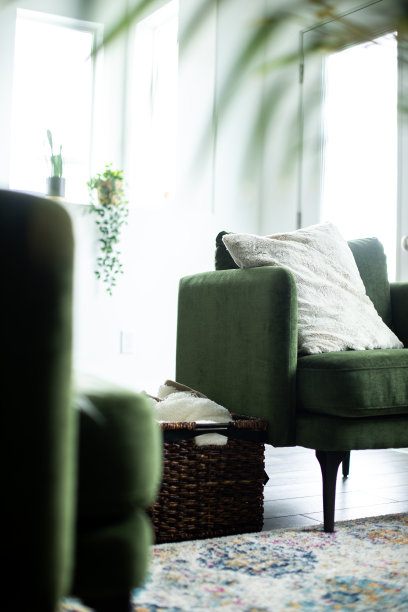 绿色丝绒椅子旁边的盆栽植物在一个简单而现代的家庭内部看到图片下载