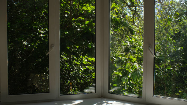 从窗外看绿树。图片下载