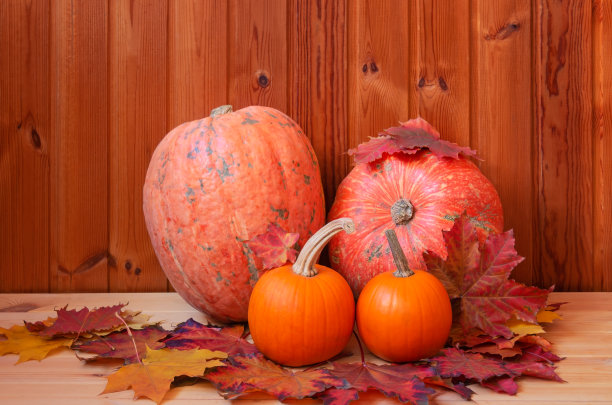 木制背景上的橙色南瓜和枫叶图片下载