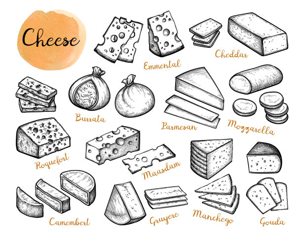 奶酪墨汁素描套装。图片下载
