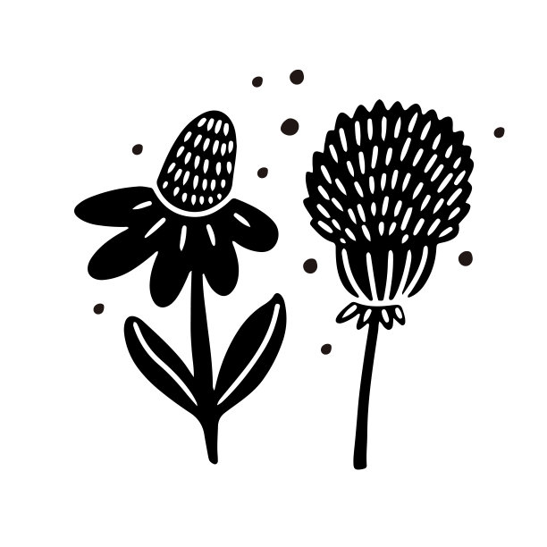 三叶草和金凤花图片下载