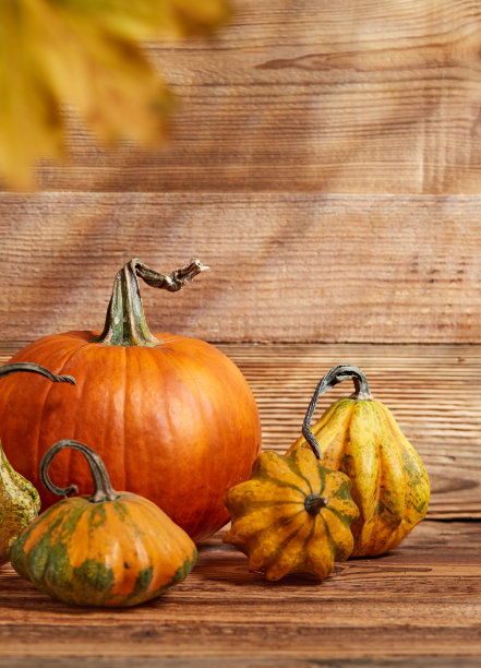 南瓜特写图片下载