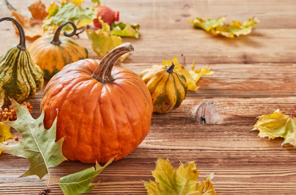 用南瓜装饰感恩节图片下载