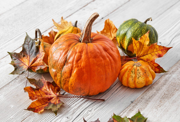 秋天感恩节的概念图片下载