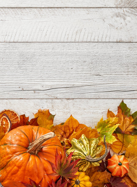 南瓜特写图片下载