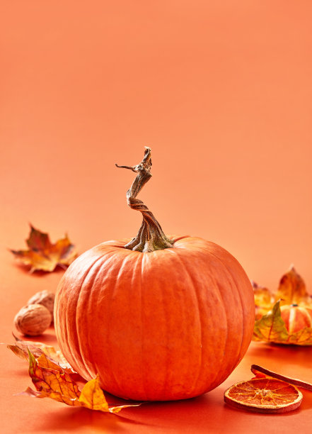 秋天情报概念图片下载