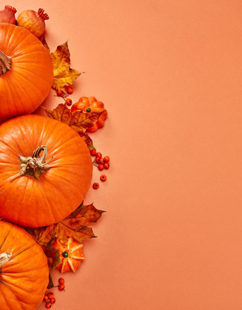 感恩节的安排图片下载