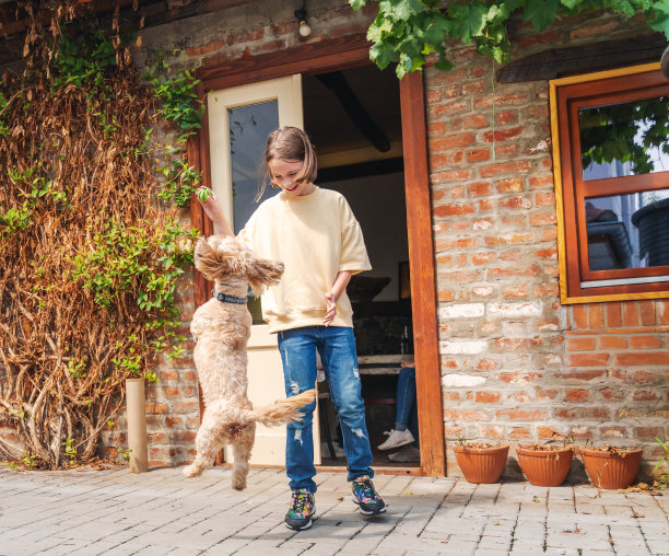 一个快乐微笑的白人孩子，十几岁的女孩在院子里和一只狗玩耍图片下载