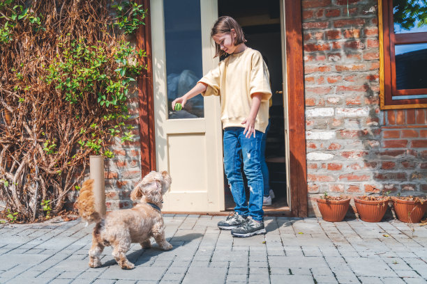 一个快乐微笑的白人孩子，十几岁的女孩在院子里和一只狗玩耍图片下载