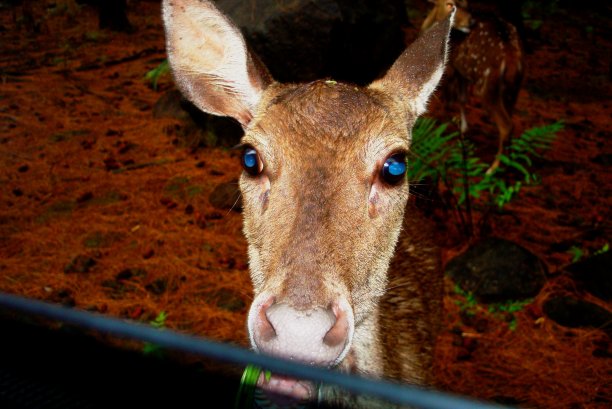 你好好人……图片下载