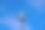 在一个阳光明媚的夏天下午，以多云的蓝天为背景的温特图尔城足球场Schützenwiese，用聚光灯的杆子。图片下载