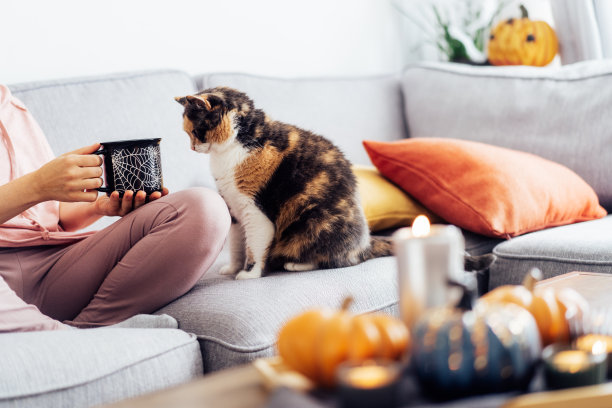 穿着格子衣服的女人喝着万圣节主题杯子里的热茶，坐在家里沙发上的五颜六色的猫。舒适舒适的秋季假期概念。休息和放松。有选择性的重点图片下载