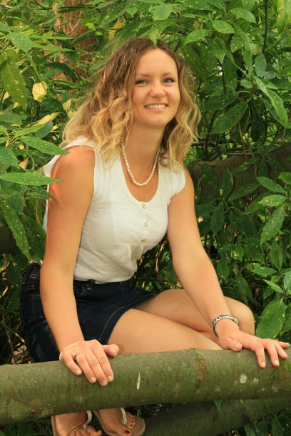 坐在树上图片下载