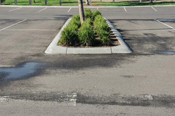 停车场的花园美化图片下载