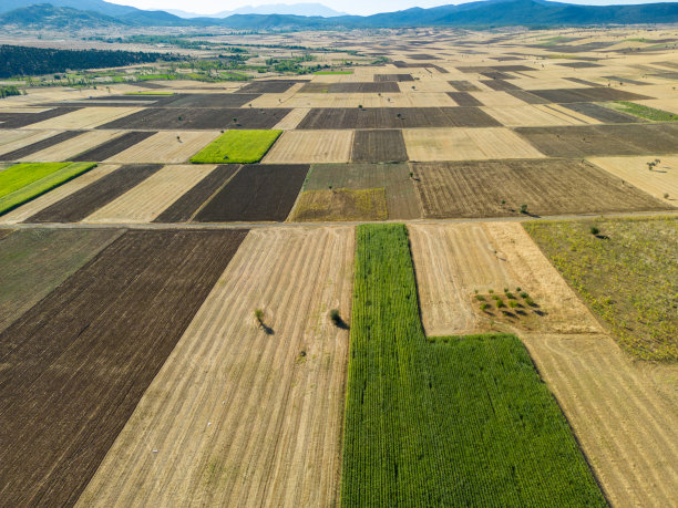与农村经济发展模式相适应的播种、种植和农业工作图片下载