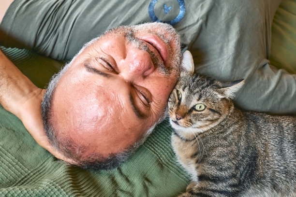 俯视图大胡子中年男子躺在床上和他的灰色虎斑猫玩耍。人与动物的关系。宠物护理。有趣的家庭宠物。猫一天。有选择性的重点。图片下载