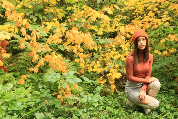 跪在森林图片下载