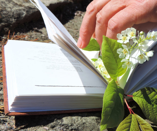 妇女在户外放松和看书图片下载