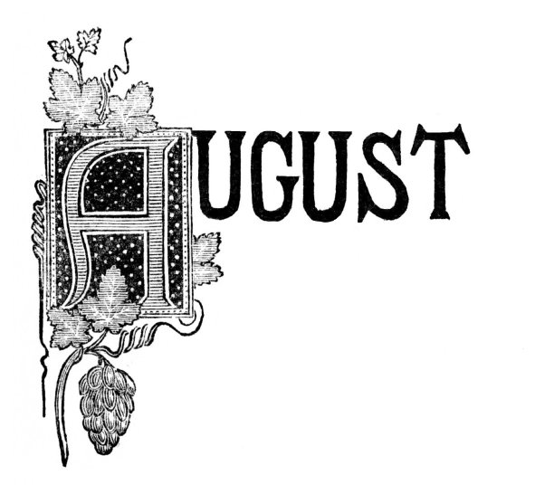 字母A单词八月，一年中的月份图片下载