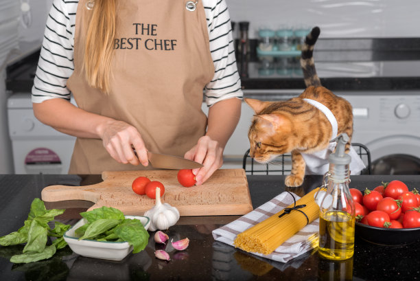 猫和它穿着围裙的主人一起在家里的厨房做饭。图片下载