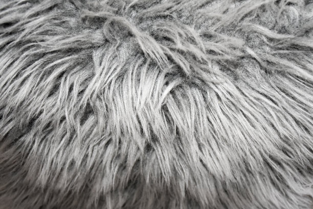 皮毛纹理背景图片下载