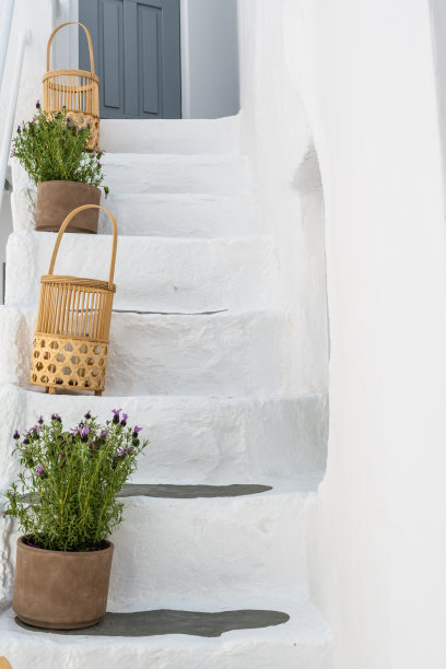 白色的台阶和盆栽植物图片下载