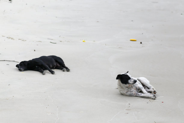 海滩放松日图片下载